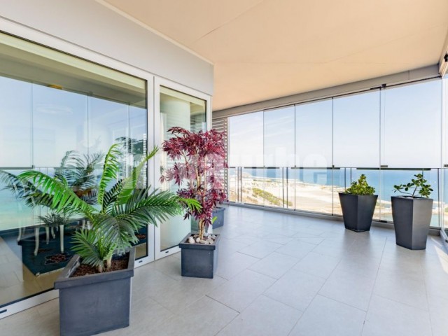 PRIMERA LINEA DEL MAR